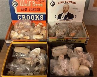 SJP023 Four Boxes Of Various Shells 