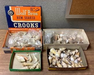 SJP025 Four Boxes Of Shells 