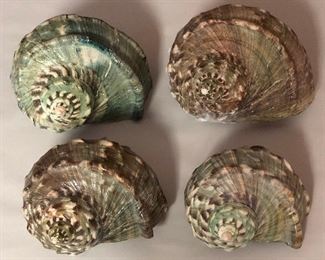 SJP037 - FOUR GREEN TURBO SHELLS