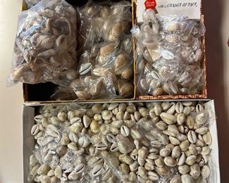 SJP041- Boxes Of Shells