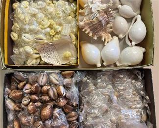 SJP051- Boxes Of Beautiful Shells