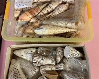 SJP058 Two Boxes Of Shells