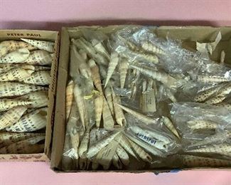 SJP059 Two Boxes Of Shells