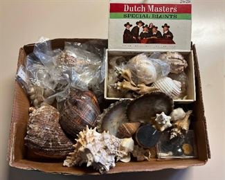 SJP096- Boxes Of Shells