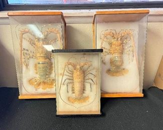 SJP100- (3) Taxidermy Lobsters