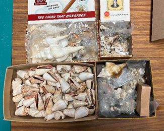 SJP106- Assorted Shells In Vintage Cigar Boxes