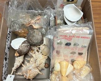 SJP109- Box Of Assorted Shells & Arizona Rock & Minerals