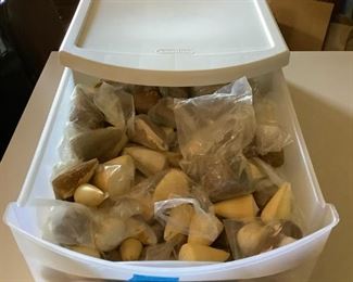SJP126 Bin Of Beautiful Yellow Cone Shells
