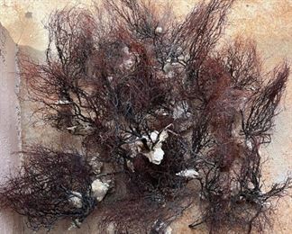 SJP129- Black Coral Bouquet