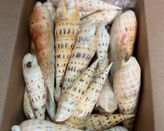 SJP147- Box Of Marlin Spikes