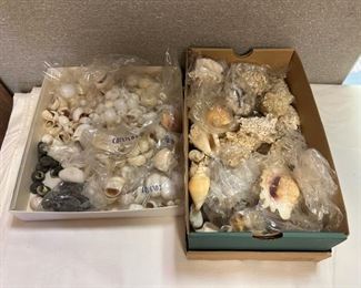 SJP156- Boxes Of Shells