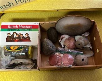 SJP185- Box Of Shells, Rocks & Minerals