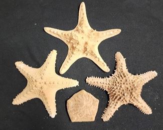 SJP212 Four Star Service