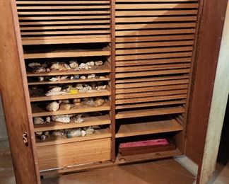 SJP235 - Sea Shells And Display Cabinet 