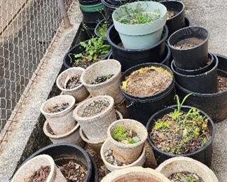 SJP250 - Concrete And Black Planter Pots