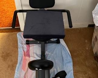 SJP620- Marcy Training Bike