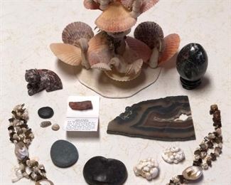 SJP676 - DECORATIVE COLLECTIBLE STONES AND SHELLS