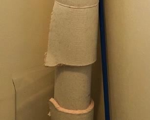 SJP691 - WATERPIK MASSAGE, QUICKIE MOP, PLUSH CARPET AND MORE