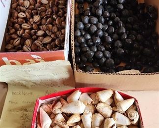 SJP270 - Cowries And Kukui For Lei