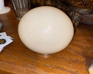 I am not sure if this is an actual ostrich egg or a ceramic one. Either way, it is one big egg!