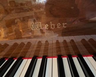A detailed picture of the piano's brand.