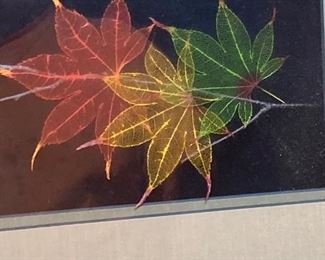 Actual leaf art form framed
