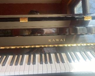 Kauai piano