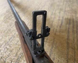 Rear sight fully functional