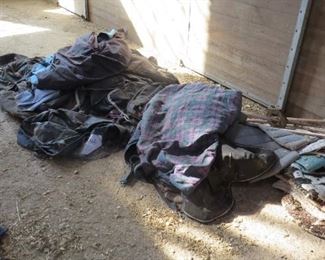 Horse Blankets