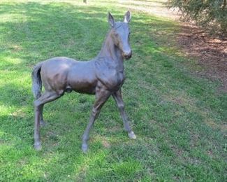 Bronze Colt