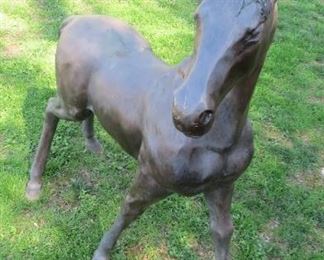 Bronze Colt