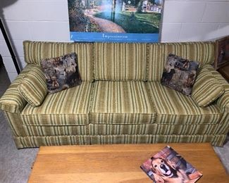 Sleeper sofa priced to sell!
