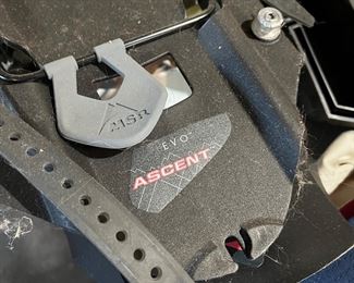 MSR EVO snow shoes