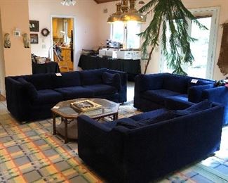 Blue sofas, Norfolk pine tree