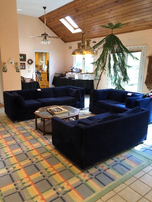 Blue sofas, Norfolk pine tree