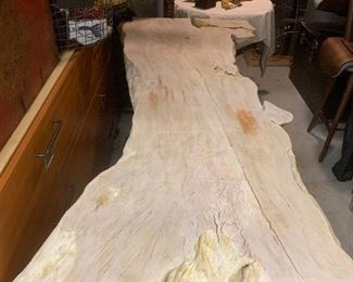 Beautiful Organic Table ( Lychee Root Trestle)