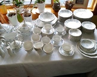 Haviland Bavaria Blue Garland China