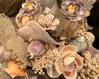 Arrangement made of shells and other beach "finds"