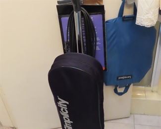 Upright vacuum cleaner.