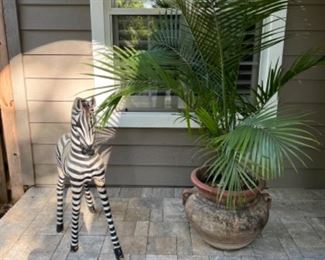 Zebra and potted plant