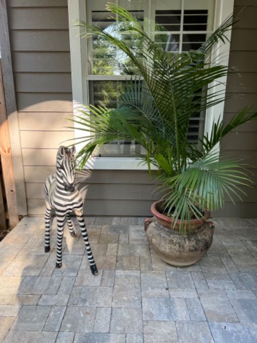 Zebra and potted plant