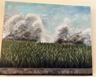 Clouds on a grassy field