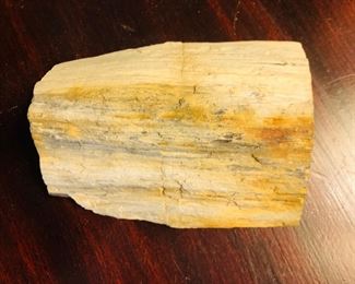 Petrified wood