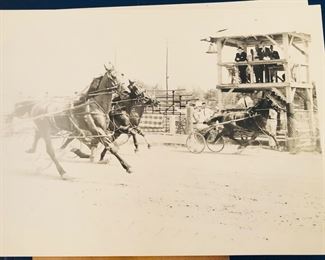 Hawkinsville harness races!