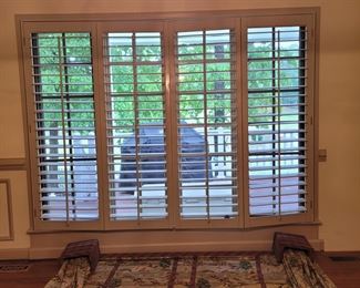 The window for the window treatment