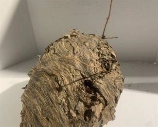 Natural Paper Wasp Hornet Nest B