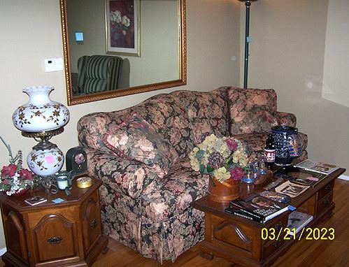 Schnadig sofa, coffee table, hexagonal end table, GWTW lamp, large wall mirror, etc..