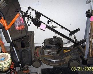 Lawn mower and weed whip