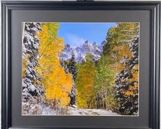  Beautiful Photograph of Colorado Mountains and Aspens Signed "L. Bramm" 2013 Non-Reflective Glass