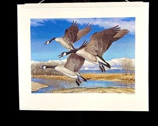  Colorado Canadas Companion Edition Lithograph Signed by Tom Hirata #284 in Huge Protective Sleeve